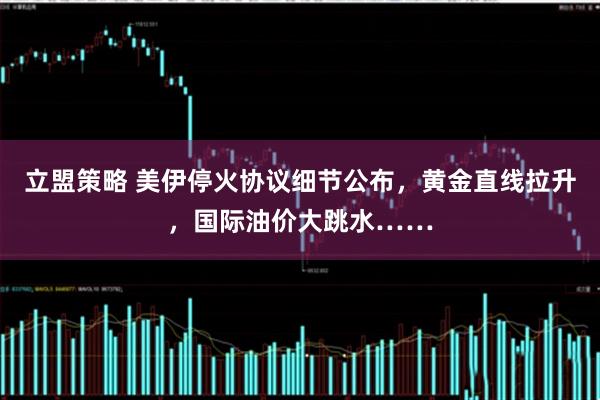 立盟策略 美伊停火协议细节公布，黄金直线拉升，国际油价大跳水……