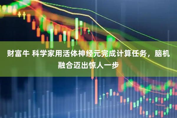 财富牛 科学家用活体神经元完成计算任务，脑机融合迈出惊人一步